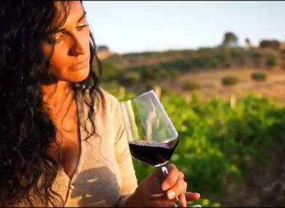 Food experience Food experience