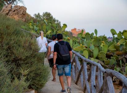 Green experience Green experience