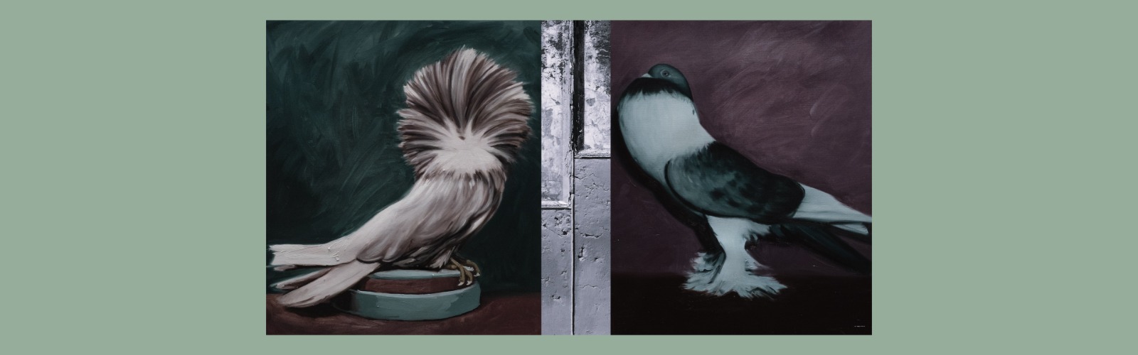 Contenuti per la cura | Opere di Cecilia Cocco, Daniela Flores a cura di Giovanna Zabotti